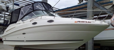 Sea Ray 240 Sundancer 2011