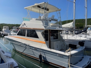 Viking 35 Convertible &#039;86 / 2020